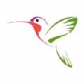 Colibri