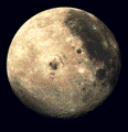 Moon Tiger